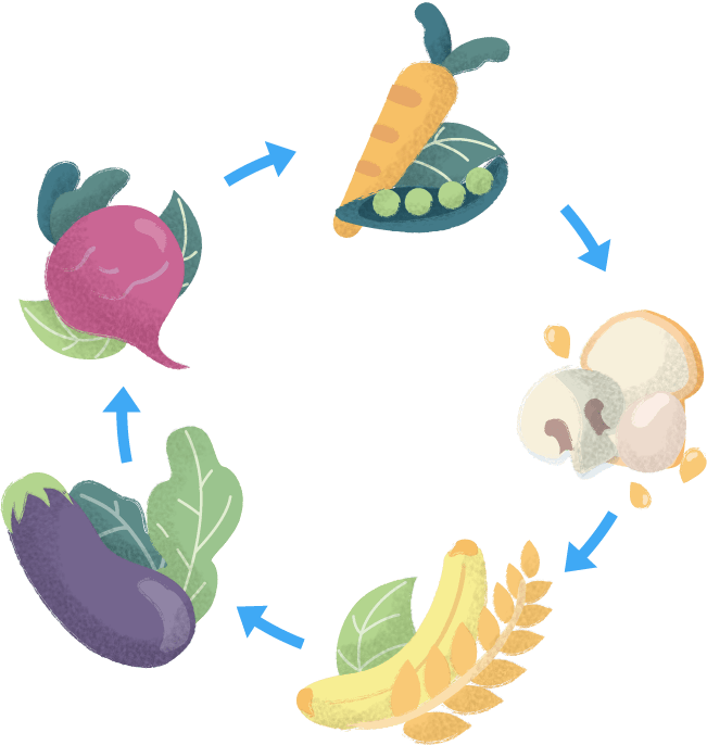 Dietitian_Illustration_02